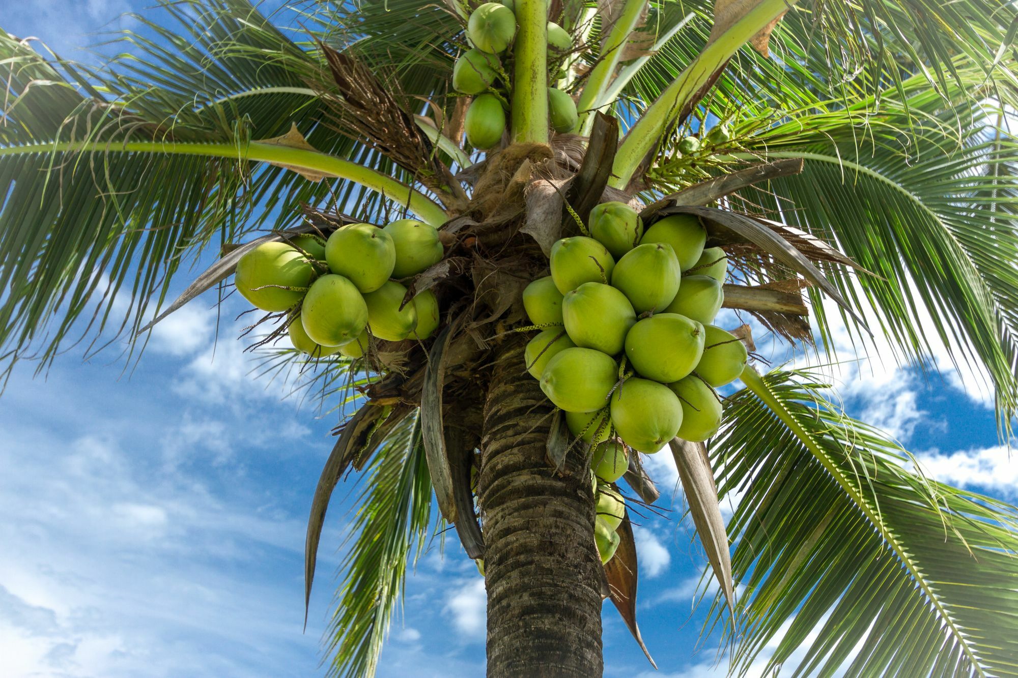 הוילה Coastal Escape Koh Yao Noi מראה חיצוני תמונה